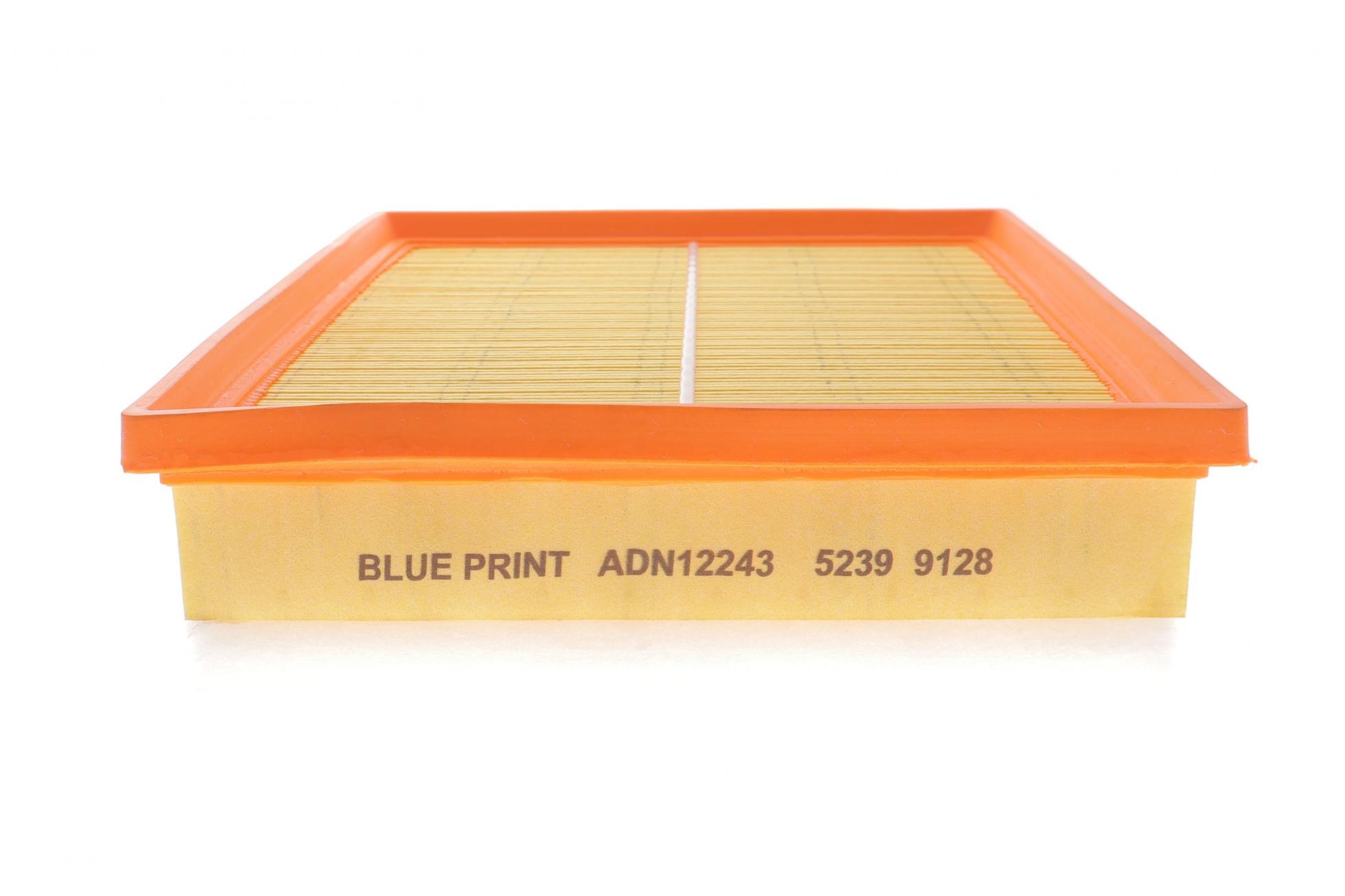ADN12243 BLUE PRINT